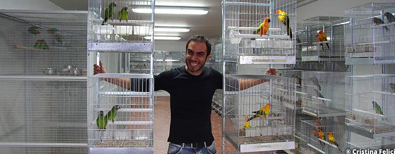 Dario Loreti