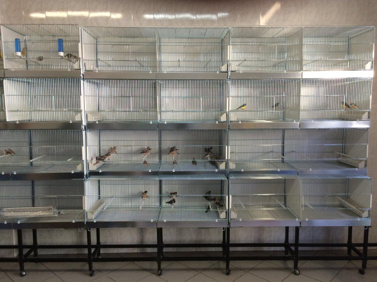 Esempio di allestimento struttura per negozi (l'oasi degli animali- Ladispoli- Roma)