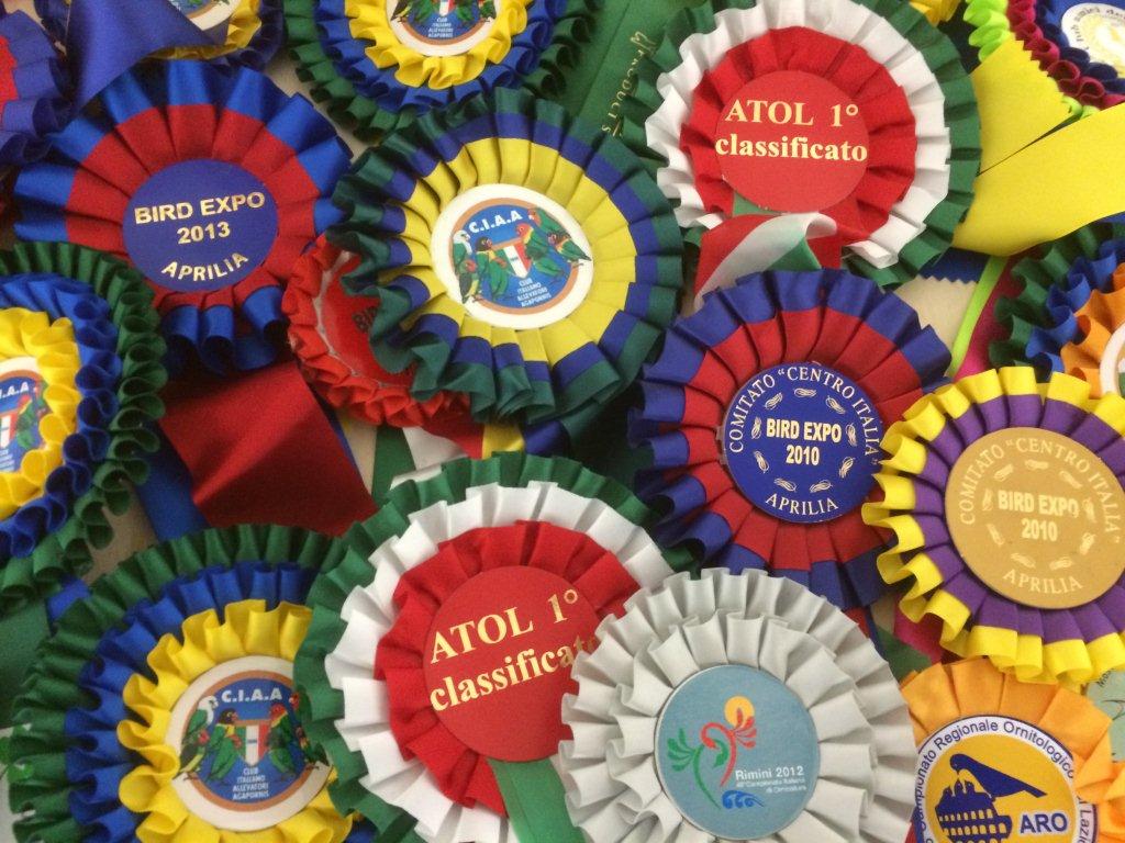 Partecipazioni alle competizioni ornitologiche nazionali ed internazionali