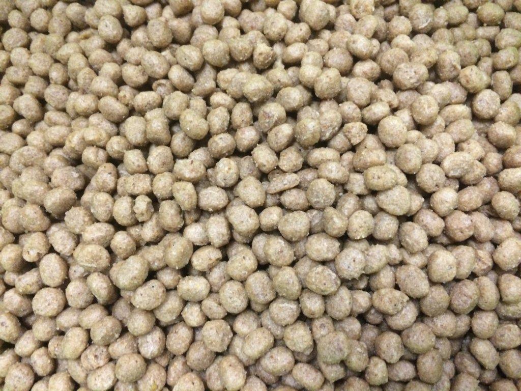 Estruso per pappagalli